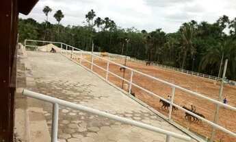 Imagem 5: Terreno à venda, 75221 m² por R$ 7.500.000,00 - Juçara - São Luís/MA