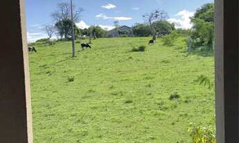 Imagem 7: Vendo chácara às margens do rio Paraguaçu