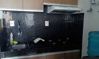 Imagem 7: Flat tulip in saint martin