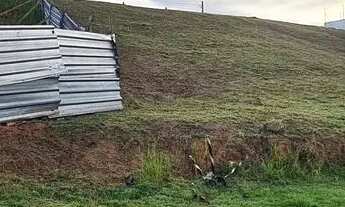 Imagem 5: Terreno em Condomínio de Alto Padrão com 656m². Excelente localização - Riviera Park