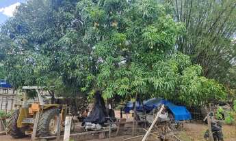 Imagem 3: Fazenda 81 uma hectares e meia valor 420.000