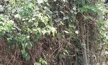 Imagem 3: Terreno (Em rua) à Venda, 360m² - Bairro Maravista em Niterói