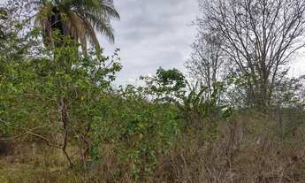 Imagem 7: Vendo ou Troco Chácara em Mirabela no Encontro das Águas