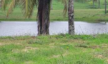 Imagem 3: Damha fundo lago promoção