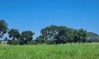 Imagem 7: FAZENDA À VENDA BEIRA DO RIO CUIABÁ