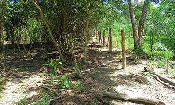 Imagem 5: Terreno Chácara 3 Alqueires 5 Km BR 414 Cocalzinho de Goiás
