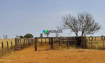 Imagem 6: FAZENDA À VENDA - 827 HECTARES - ABAETÉ (MG