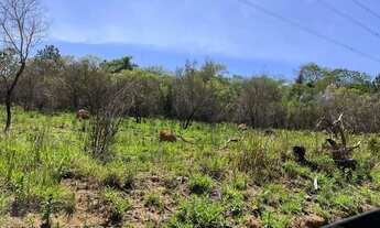 Imagem 6: Oportunidade Imperdível! Terrenos no Portão por R$ 80 mil