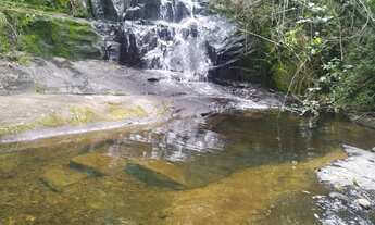Imagem 2: Sitio em cassia dos coqueiros 1,2 alqueires 400.000.00