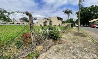 Imagem 2: Terreno - Nova Campinas - Campinas