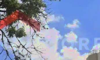 Imagem 3: Casa em Rua Doutor José Maria Whitaker - Vila Sônia - São Paulo/SP