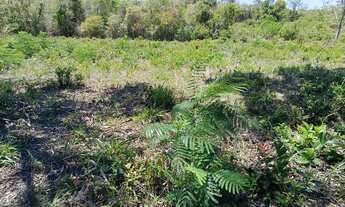 Imagem 5: Ótima chácara Chácara com venda por R$70.000