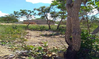 Imagem 6: Serra d Cipó!!! Chacara de 1.000m² 100% plano * WhtsApp