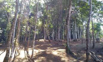 Imagem 6: Terreno à venda, Simão Pereira Simão Pereira MG
