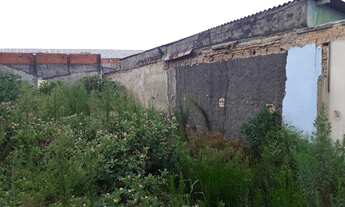 Imagem 3: Lote/Terreno para venda com 328 metros quadrados em Vila Maria - São Paulo - SP