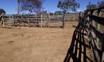 Imagem 2: Fazendinha 25 Alqueires 50 Minutos de MONTES CLAROS.