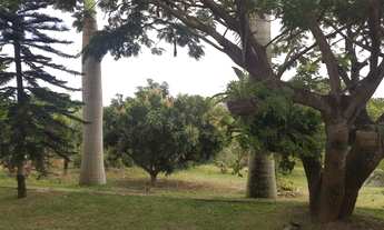 Imagem 4: Leonardo Corretor Vende: Casa 05 Quartos, 03 Suítes, Acesso Asfaltado!!