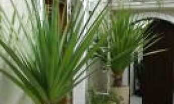 Imagem 4: SOBRADO - TATUAPÉ - SP