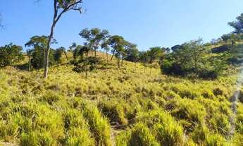 Imagem: Fazenda 84 alqueires em Palmeirópolis To