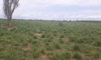 Imagem 5: Fazenda com 570 hectares na região de monte alegre
