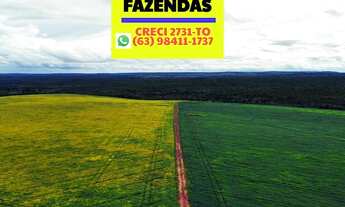 Imagem 7: Fazenda Santa Maria 2.521 hectares