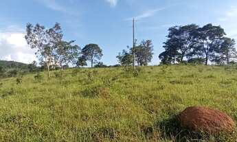 Imagem 5: Fazenda para venda possui 29 Alqueires em Cocalzinho de Goiás