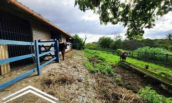 Imagem 3: Sitio em Chã Grande com 6,5 hectares