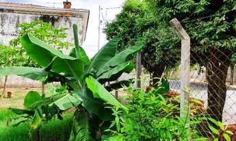 Imagem 6: Terreno Comercial / Residencial - Vila Anchieta