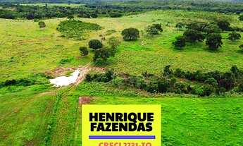 Imagem 5: Fazenda Santa Maria 2.521 hectares