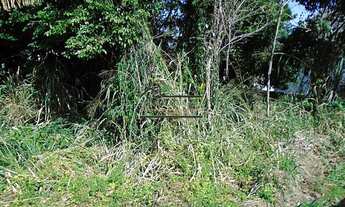 Imagem 8: Araçatiba, Marica, Terreno 360 m² com Vista Panorâmica da Lagoa do bairro, perto do DECK