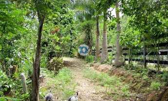 Imagem 7: LINDA CHÁCARA LOCALIZADA DEPOIS DE AMPARO, SENTIDO SANTA RITA DE JACUTINGA