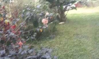 Imagem 4: Excelente imóvel