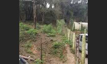 Imagem: Área com 2 mil metros