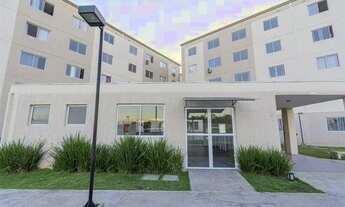 Imagem: Apartamento para aluguel possui 45 metros