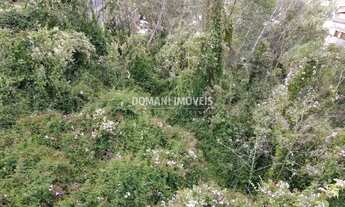 Imagem 6: Terreno com Preço de Oportunidade à Venda no Região da Abernéssia - Campos do Jordão/SP