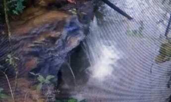 Imagem 3: Vendo chácara Chácara com venda por R$320.000