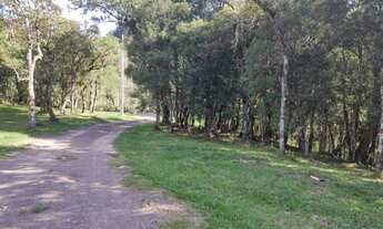 Imagem 4: Chácara 2,45 hectares à venda em Urubici-SC