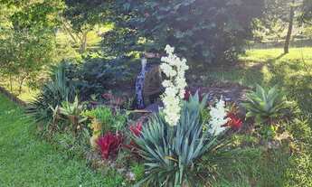 Imagem 2: Casa temporada no Sítio com piscina e cachoeira a 45km de Floripa