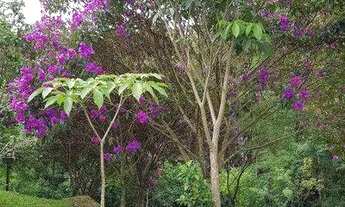 Imagem 14: Lote à venda em Alphaville, Santana de Parnaíba