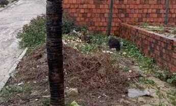 Imagem 6: Vendo casa na Taiba