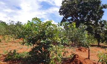 Imagem 4: Valor de Pré-Lançamento Fazendinhas Excelentes com Pagamento Facilitado