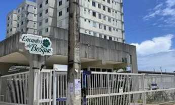 Imagem: ! Encantos do bosque