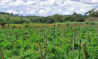Imagem 3: Valor de Pré-Lançamento Fazendinhas Excelentes com Pagamento Facilitado