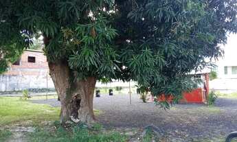 Imagem 4: Casa para aluguel tem 189 metros quadrados com 3 quartos em Jardim Petrolar - Alagoinhas