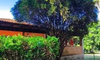 Imagem 4: Venda - Chácara