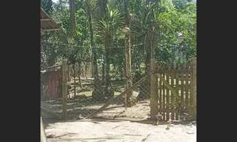 Imagem 4: Chácara Tagaçaba de cima , Município de Guaraqueçaba