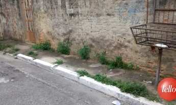 Imagem 5: São Paulo - Terreno Padrão - Cachoeirinha