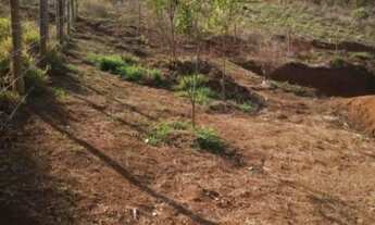 Imagem 2: Granja barata Terreno / lote com venda por R$65.000