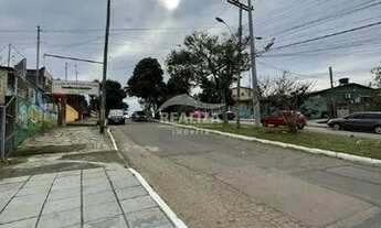 Imagem 6: Loja no Jardim Krahe