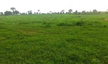Imagem 4: Fazenda de 2.414 alqueires em Flores Goias
